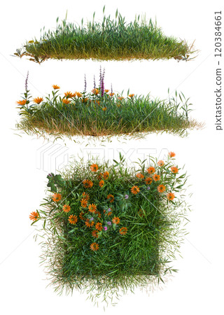 grass group wit flower PNG transparent 120384661