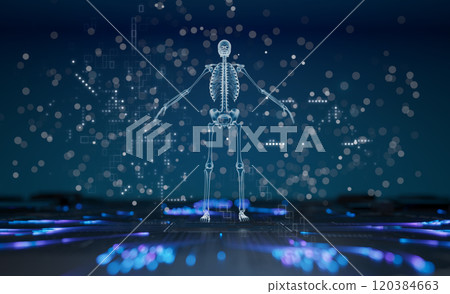 Human skeletons in x-ray view, futuristic medical display design Human skeletons in x-ray view, futuristic medical display design 120384663