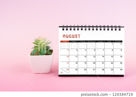 August 2025, Monthly desk calendar for 2025 year on pink background. 120384719