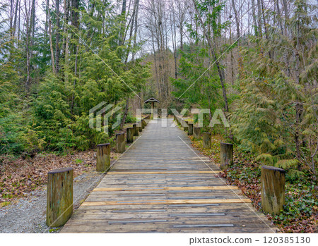 Wooden paved trail in a park on winter season in British Columbia, Canada Wooden paved trail in a park on winter season in British Columbia, Canada 120385130
