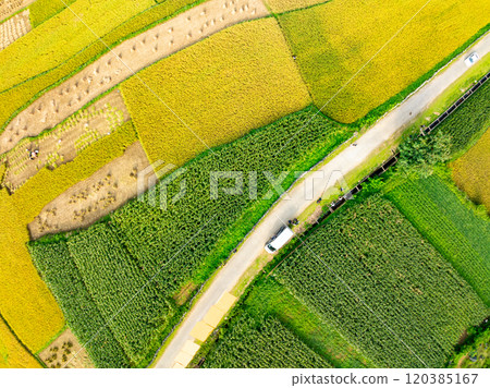 Drone shot, aerial view of a Corn field in northern Vietnam,Top view of the corn fields plantation 120385167