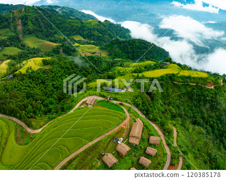 Drone aerial view of rice terrace field in harvest season,Green agricultural fields in countryside at northern Vietnam Drone aerial view of rice terrace field in harvest season,Green agricultural fields in countryside at northern Vietnam 120385178
