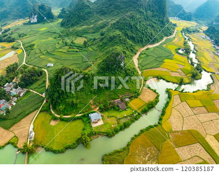 Top view Rice fields in harvest season,High angle view over countryside at northern Vietnam Top view Rice fields in harvest season,High angle view over countryside at northern Vietnam 120385187