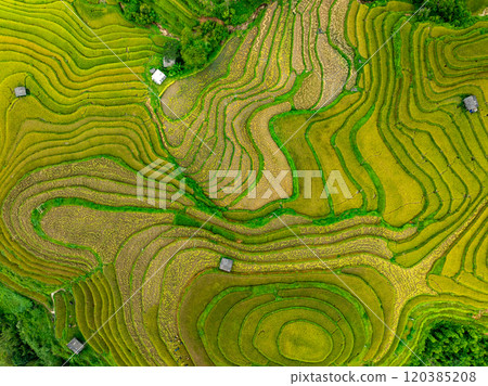 Drone aerial view of rice terrace field in harvest season,Green agricultural fields in countryside at northern Vietnam Drone aerial view of rice terrace field in harvest season,Green agricultural fields in countryside at northern Vietnam 120385208