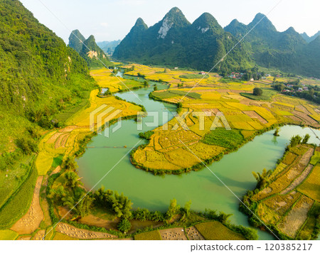 Aerial wide angle view of landscape with rice field at Phong Nam village in Trung Khanh, Cao Bang province,Northern Vietnam 120385217