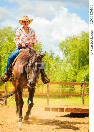Cowgirl doing horse riding on countryside meadow 120385463