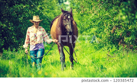 Western woman walking on green meadow with horse Western woman walking on green meadow with horse 120385472