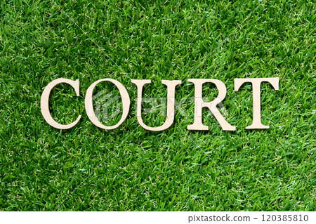 Wood alphabet letter in word court on artificial green grass background 120385810