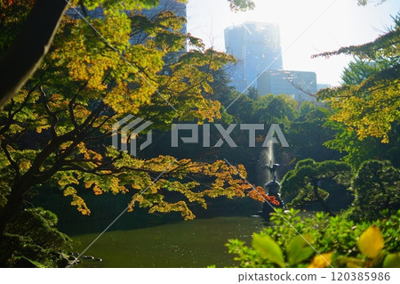 日比谷公園的秋葉和噴泉 120385986