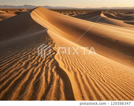 sand dunes in the desert 120386347