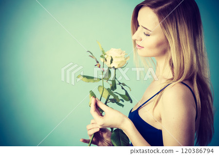 Shot on blue of woman holding white rose 120386794