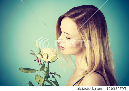Shot on blue of woman holding white rose Shot on blue of woman holding white rose 120386795