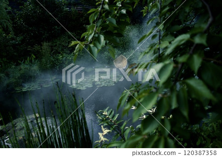 A mysterious pond with floating boats A mysterious pond with floating boats 120387358