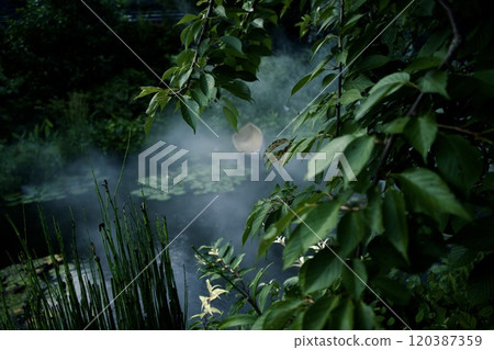 Fog wrapped in fog 120387359