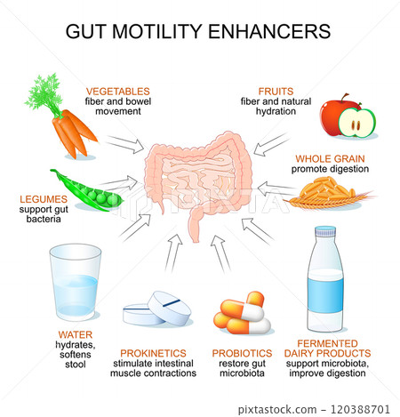 Gastrointestinal peristalsis and Chronic constipation Gastrointestinal peristalsis and Chronic constipation 120388701