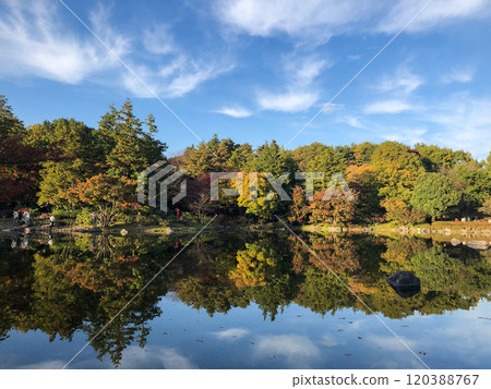 反射水的表面上的秋葉 120388767
