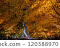 中島公園的紅葉彩燈 120388970