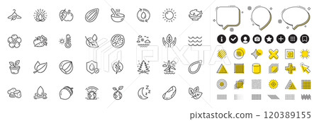 Set of Brazil nut, Apple and Almond nut line icons for web app. Design elements, Social media icons. Seafood, Greenhouse, Potato icons. Slow fashion, Leaf dew, Lotus signs. Vector Set of Brazil nut, Apple and Almond nut line icons for web app. Design elements, Social media icons. Seafood, Greenhouse, Potato icons. Slow fashion, Leaf dew, Lotus signs. Vector 120389155