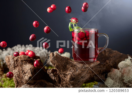 Hot drink with cranberries, lime, and rosemary. Hot drink with cranberries, lime, and rosemary. 120389653