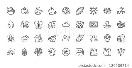 Corn, Sunny weather and Startup line icons pack. AI, Question and Answer, Map pin icons. Water drop, Apple, Gluten free web icon. Windy weather, Salad, Co2 pictogram. Vector 120389714