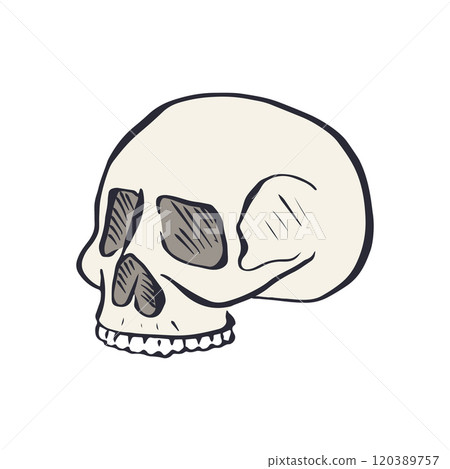 Hand drawn sketchy human skull isolated on white background 120389757