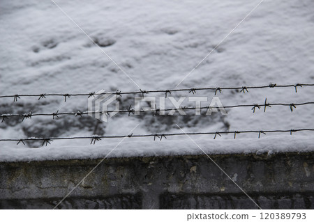 Barbed wire on the fence against light background in the winter cloudy day Barbed wire on the fence against light background in the winter cloudy day 120389793
