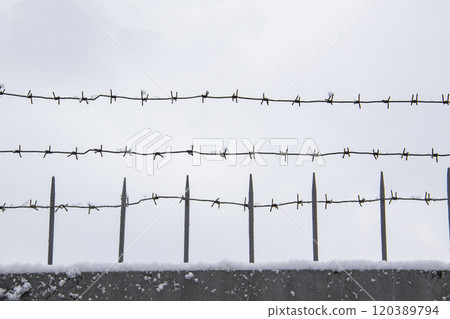 Barbed wire on the fence against light background in the winter cloudy day Barbed wire on the fence against light background in the winter cloudy day 120389794