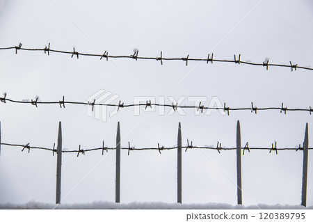 Barbed wire with snow on against light background in the winter cloudy day Barbed wire with snow on against light background in the winter cloudy day 120389795