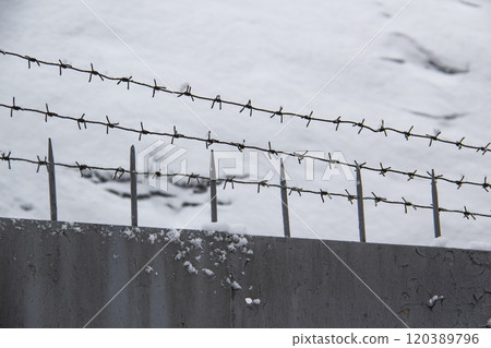 Barbed wire on the fence against light background in the winter  cloudy day 120389796