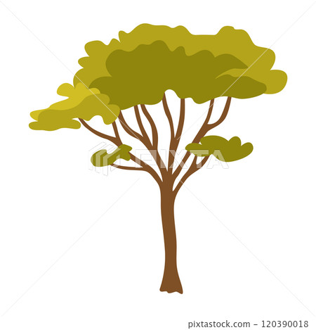 Tree. Eco concept of nature plant. Garden botanical element. Vector flat green tree icon isolated on white background 120390018