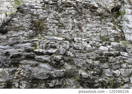 The background with stones. Stone wall background.  Old wall with natural stones and a green plants which is growing up on it 120390226