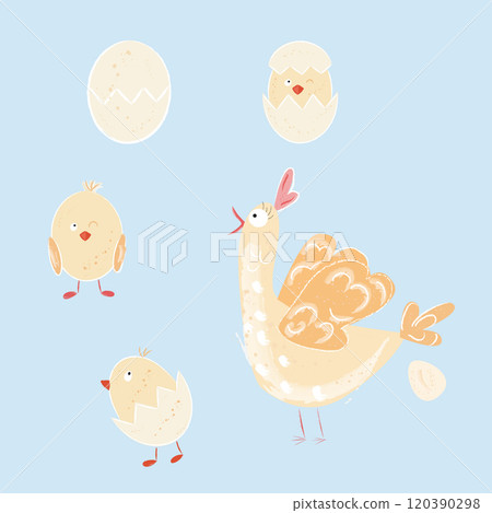 Chicken with chicke 120390298