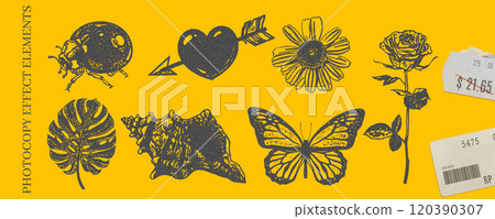 Photocopy effect. Beetle, heart, daisy, rose, monstera leaf, shell and butterfly. Photocopy effect. Beetle, heart, daisy, rose, monstera leaf, shell and butterfly. 120390307