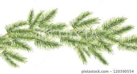 Lush green pine branches in watercolor, seamless border clipart. Realistic evergreen plant illustration. It works well for digital invitations, labels, and seasonal stationery products 120390554