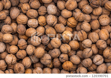 pile of unpeeled walnuts, full-frame texture and background pile of unpeeled walnuts, full-frame texture and background 120390701