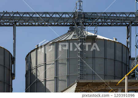 metal grain silos with elevator loading constructions 120391096