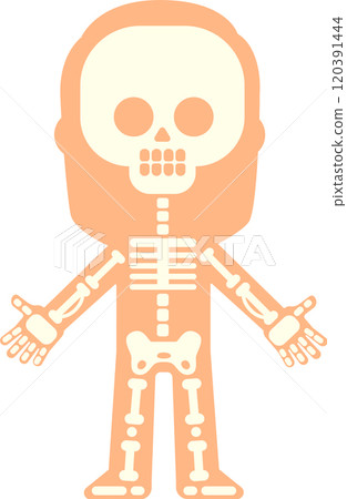 Stylized illustration showing human skeleton bones inside body silhouette, suitable for educational or medical purposes, with arms open Stylized illustration showing human skeleton bones inside body silhouette, suitable for educational or medical purposes, with arms open 120391444