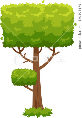 Lush green cartoon tree with a perfectly square crown and a smaller square bush growing from its trunk standing on a patch of grass isolated on a white background Lush green cartoon tree with a perfectly square crown and a smaller square bush growing from its trunk standing on a patch of grass isolated on a white background 120391475