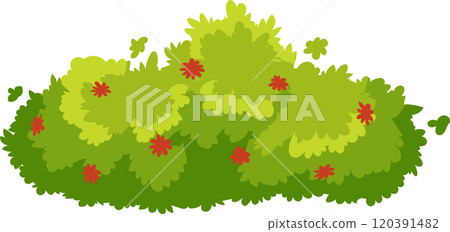 Lush green bush with vibrant red flowers adds a touch of beauty to a serene garden setting, creating a peaceful and inviting atmosphere Lush green bush with vibrant red flowers adds a touch of beauty to a serene garden setting, creating a peaceful and inviting atmosphere 120391482