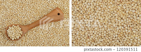 background of sorghum seeds with wooden spoon. Top view. Flat lay. background of sorghum seeds with wooden spoon. Top view. Flat lay. 120391511