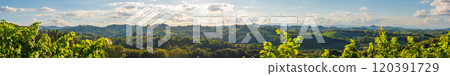 Panorama of Vineyards along the South Styrian Wine Road in Summer, Austria Europe Panorama of Vineyards along the South Styrian Wine Road in Summer, Austria Europe 120391729