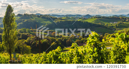 Vineyards landscape famous destination wine street area south Styria , wine country in summer. Tourist destination 120391730