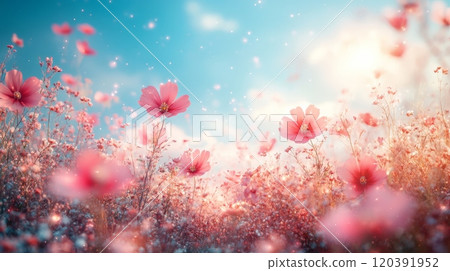 Dreamy meadow with pink flowers in bloom Dreamy meadow with pink flowers in bloom 120391952