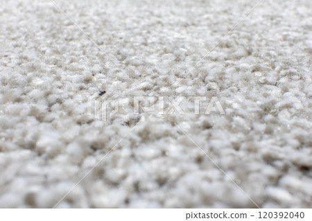 Gray carpet low angle shot 120392040