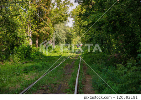 Long tram tracks running through the forest. Long tram tracks running through the forest. 120392181