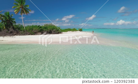 Aerial wild small tropical island beach. Tourist female in bikini relax wild untouched nature, coral reef sea landscape, crystal water, palm trees. Travel summer holiday vacation. Aerial drone flight 120392388