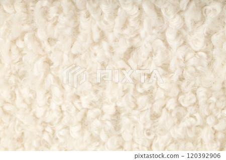 Close Up Beige Wool Fibers 120392906