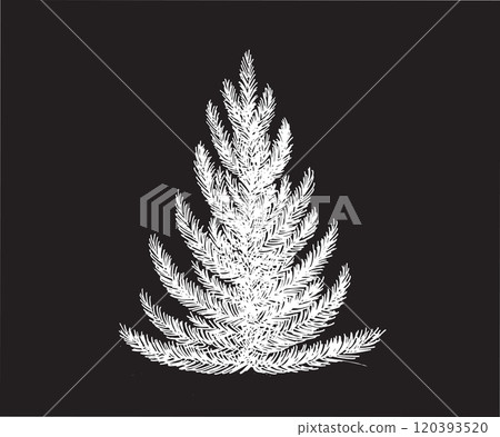 Christmas tree set on black, hand drawn illustration Christmas tree set on black, hand drawn illustration 120393520