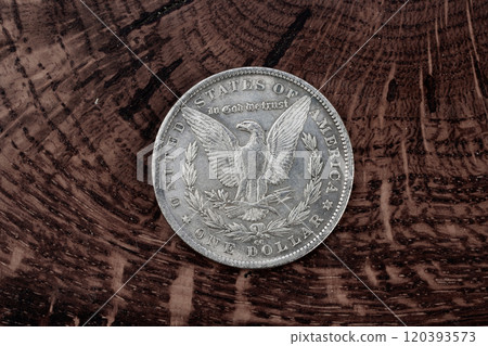 Old USA US silver dollar coin 120393573