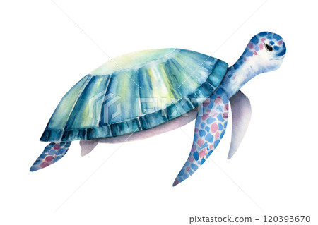 Sea turtle. Nice watercolor reptile, hand drawn illustration isolated on background. For designers, postcards, greetings, birthday, calendar, wallpapers, wrapping paper and baby design 120393670